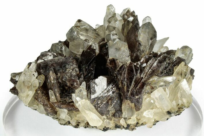 Quartz Crystals on Axinite - Peru #347889